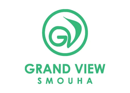 grand view - MH Innovations
